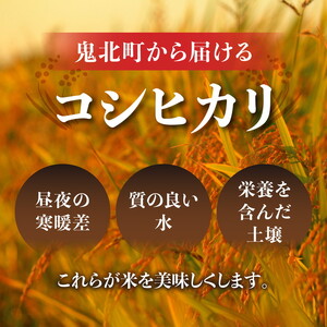 【2ヵ月定期便】【令和8年産新米】コシヒカリ 計10㎏（5kg×2回） ｜ ご飯 白米 お米 5kg 10kg 精米済み 先行予約 ※2026年10月下旬～12月下旬頃に順次発送予定 ※離島への配送不可
