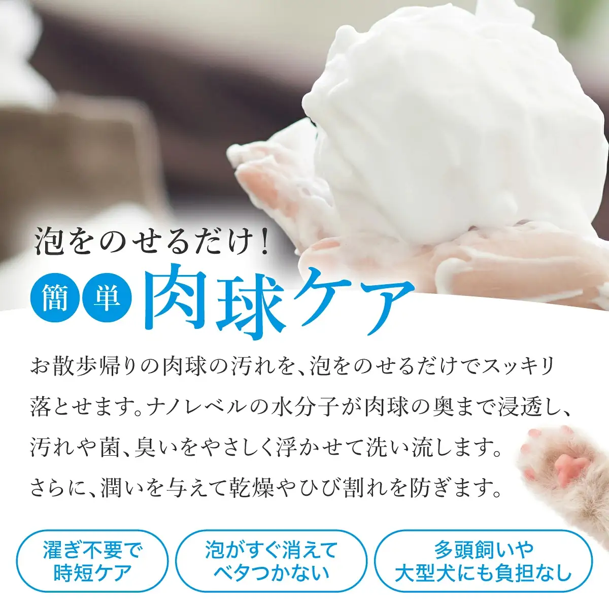 arfoam（ｱﾙﾌｫｰﾑ）300mlと携帯用50mlボトルセット