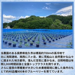 長野県産はちみつ 900g（純粋・非加熱・天然100%） 信州 佐久市 無添加 国産 アカシア 蜂蜜 ハニー パン ヨーグルト 希少 ブルーベリー はちみつ