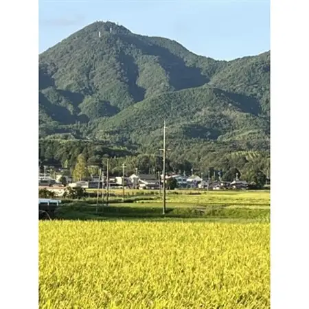 きぬむすめ　精米5kg【1693697】