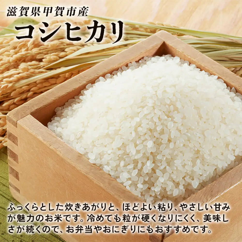 【令和7年産】近江米コシヒカリ白米10kg（5kg×2袋）