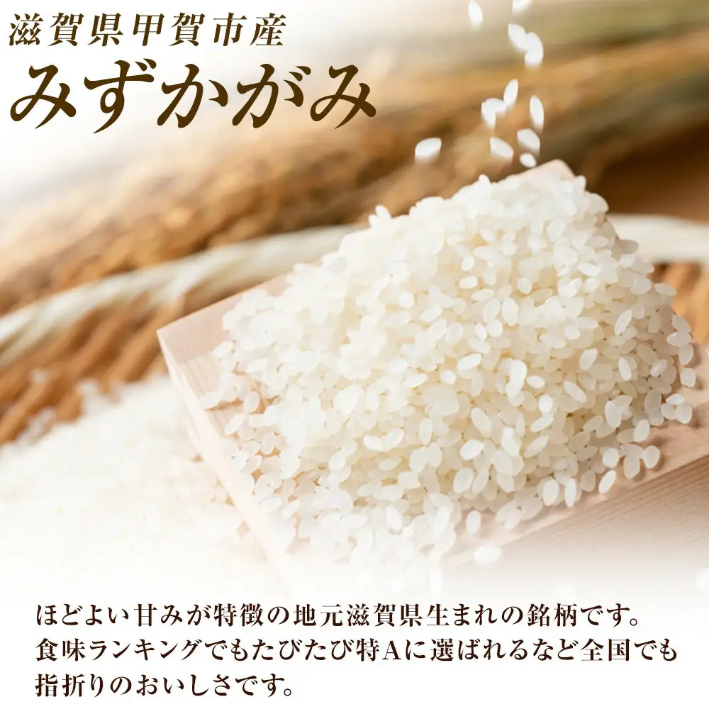 【令和7年産】近江米みずかがみ白米10kg（5kg×2袋）