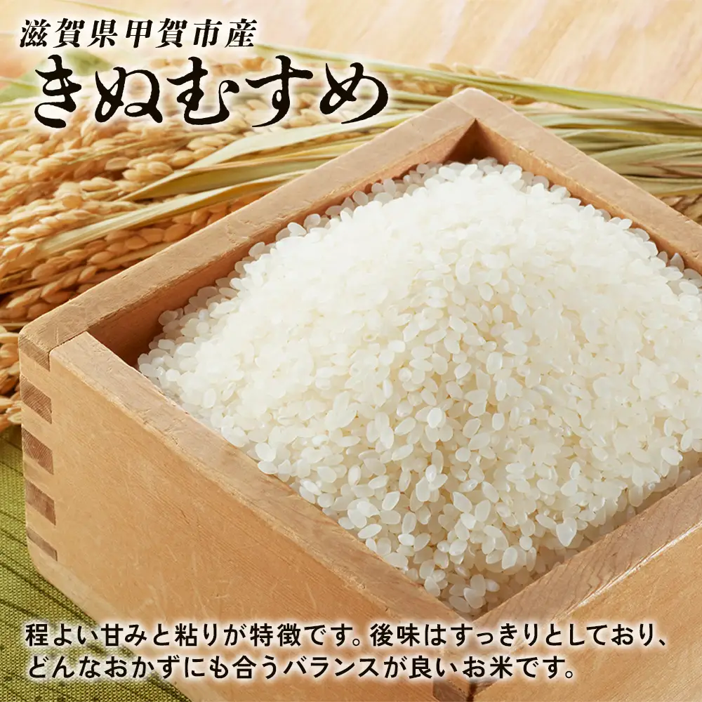 【令和7年産】近江米きぬむすめ白米5kg