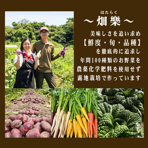【2027年1月以降順次発送】じゃがいも 10kg デストロイヤー 野菜 農家直送 季節限定 芋 いも下関 IN103