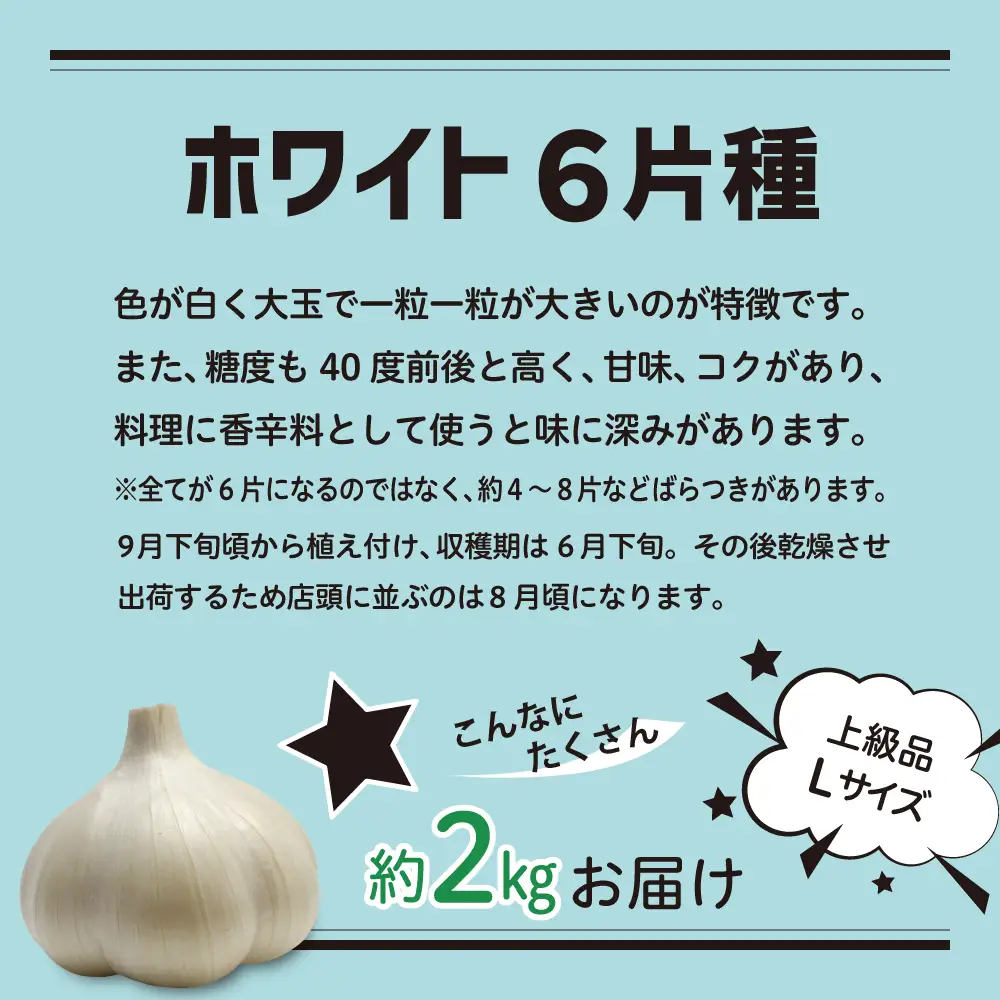 青森県産にんにく 【上級品】 Lサイズ 2kg ホワイト六片 にんにく