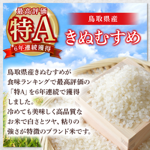 【在庫限定】令和7年産米 きぬむすめ 10kg （大上農園）数量限定 米 白米 きぬむすめ