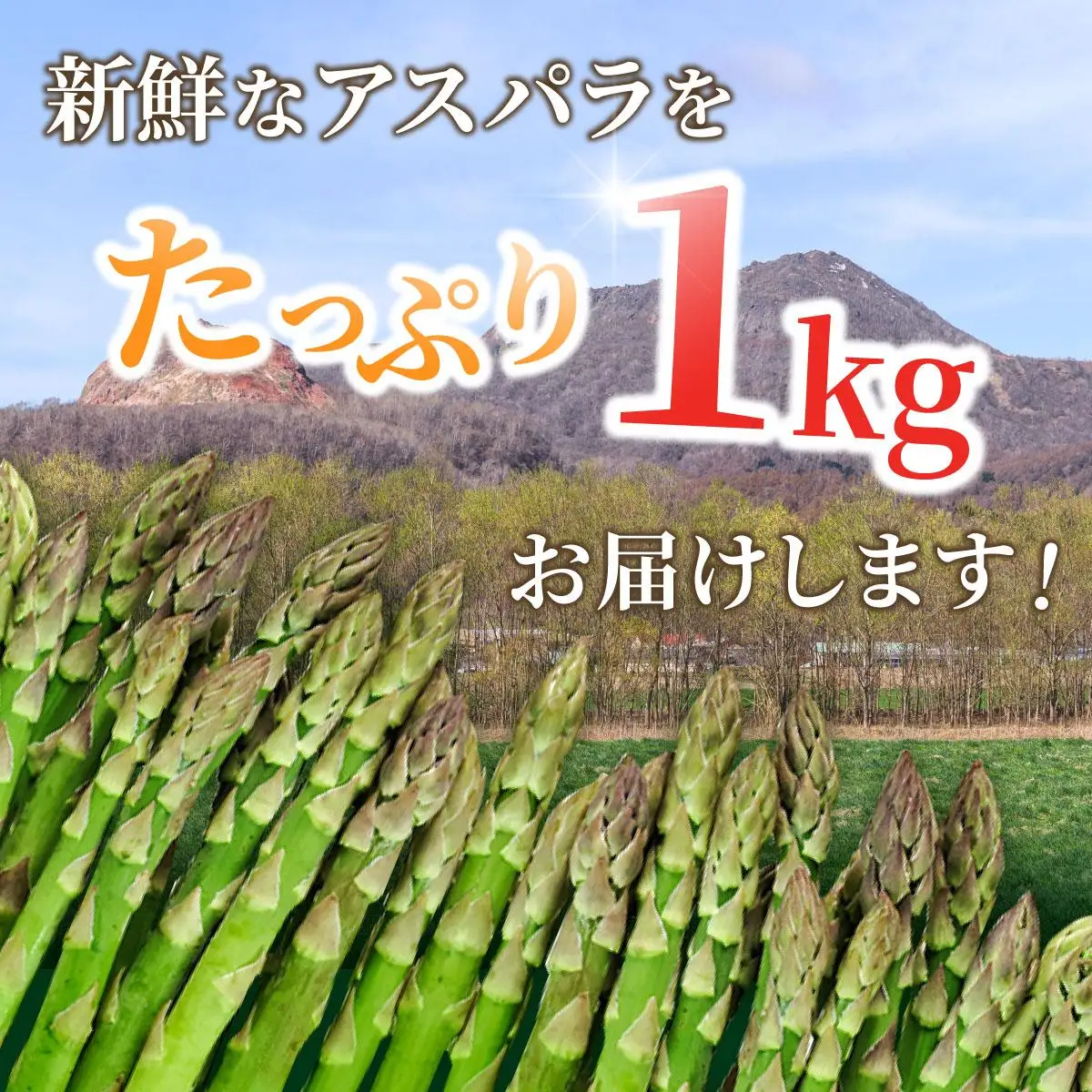 ＜2026年5月中旬～順次お届け＞ グリーンアスパラ（2L～Lサイズ）【dnk-002】アスパラ アスパラガス 野菜 伊達野菜 パスタ ソテー 北海道 伊達市
