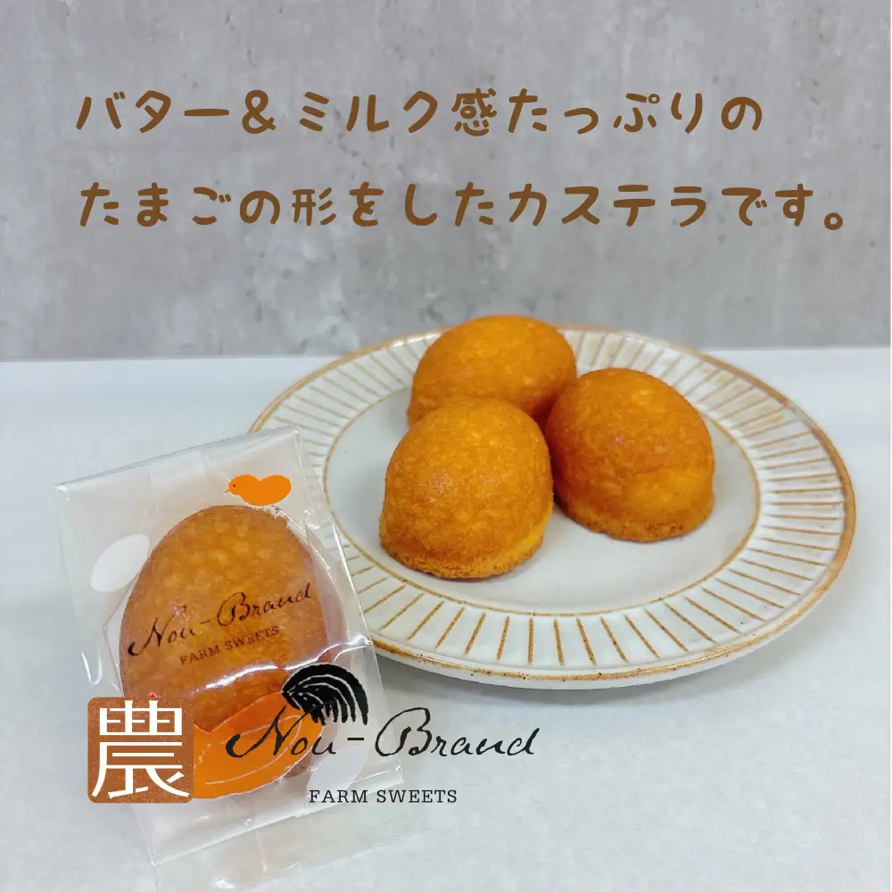 名古屋コーチン卵　カステラ（10個入り）