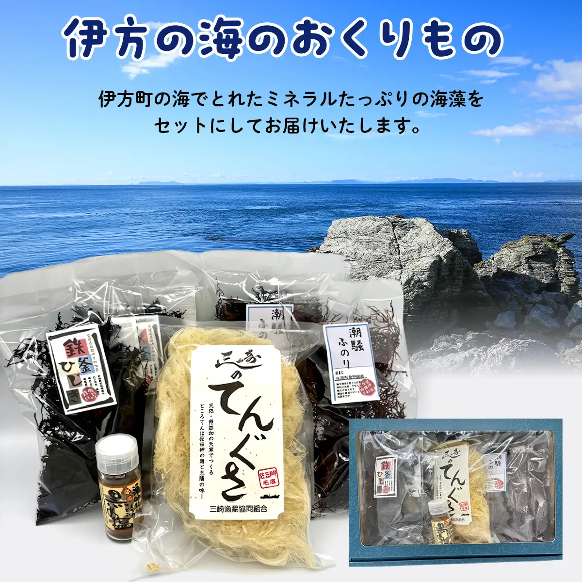 伊方町産 海のおくりものセット IKTO009