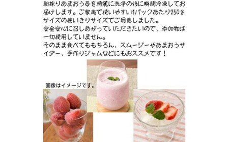 福岡県産 冷凍あまおう1kg(250g×4個)【株式会社木村食品】_HA1740