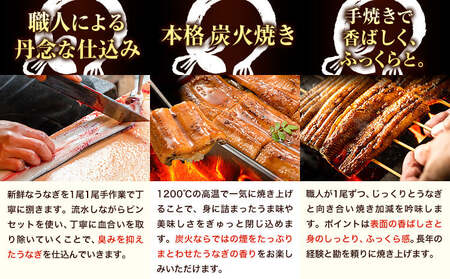 徳島県産 うなぎの蒲焼き2尾 タレ・山椒付