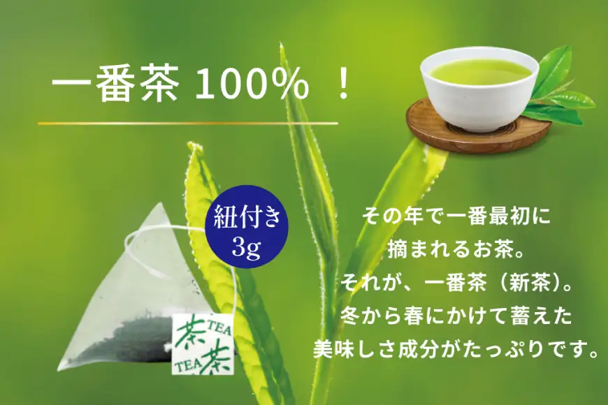 お茶 ティーバッグ 特撰 みやざき煎茶 紐付き 5袋 セット
