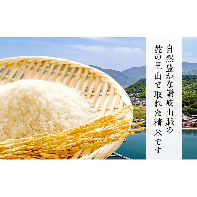東かがわ市のちょこっと食卓応援品「鶏卵Mサイズ（6個×2P）R7年産虹のきらめき（精米）2kg」