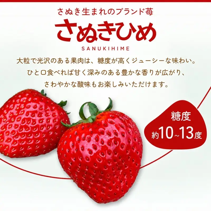 いちご さぬきひめ 大粒 香川県産 いちご【1kg】 【46312762】◆
