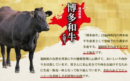 博多和牛タレ漬け（BBQ味） 2パック 約1300g [M817-1] 湯煎 熱湯 和牛 便利 人気 和食 夜食 惣菜 時短 お弁当 おかず 国産牛肉 簡単調理 惣菜 福岡県産 冷凍 送料無料