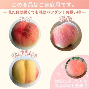 桃 白鳳 約2kg 箱 (8～9個)【訳あり】 サイズ不揃い カキエモン農園【2027年6月下旬～7月下旬頃順次発送】【BX-kkem029】