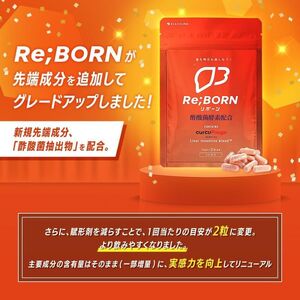 サプリ KIGASURE リボーン クルクミン 飲み会 サプリ【30日分 60粒】