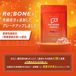 サプリ KIGASURE リボーン クルクミン 飲み会 サプリ【試しサイズ 10粒】