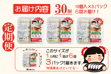 [定期便／年6回 偶数月] ハナちゃん生ぎょうざ 冷凍餃子 計180個 (30個セット×6回) [0269]