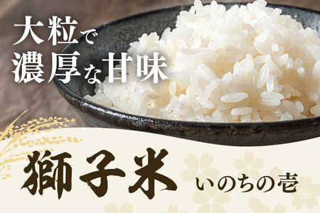 獅子米 いのちの壱 小分け セット 10kg （2kg×5袋） 米 お米 精米 白米 ご飯 ごはん 産地直送 国産 茨城県 石岡市 B02-087