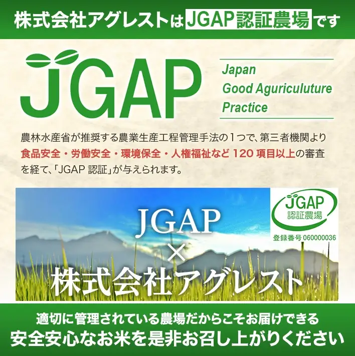 SB0937　【令和8年産 新米予約】[無洗米]ひとめぼれ　10kg(5kg×2袋) 農家直送『いいあん米』 AG