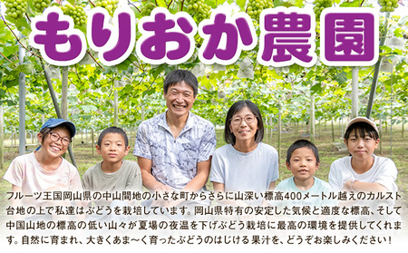 【先行予約】ぶどう ご家庭用 ピオーネ 約5kg (7房~13房) もりおか農園《9月上旬-10月上旬頃出荷》岡山県 浅口市 送料無料 ぶどう フルーツ 果物 くだもの デザート おやつ【配送不可地域あり】
