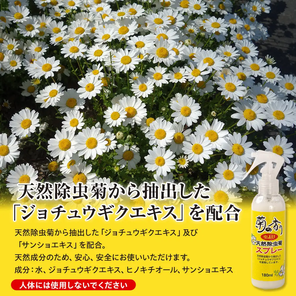 菊の香り天然除虫菊スプレー 180ml 3本セット
