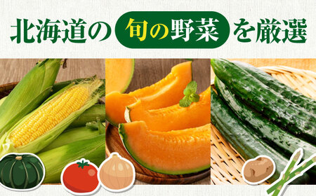 【2026年9月上旬以降順次発送】朝採れ 旬の野菜 10品目 野菜 先行予約 北海道 産地直送 旬 詰合せ [AJAH032]