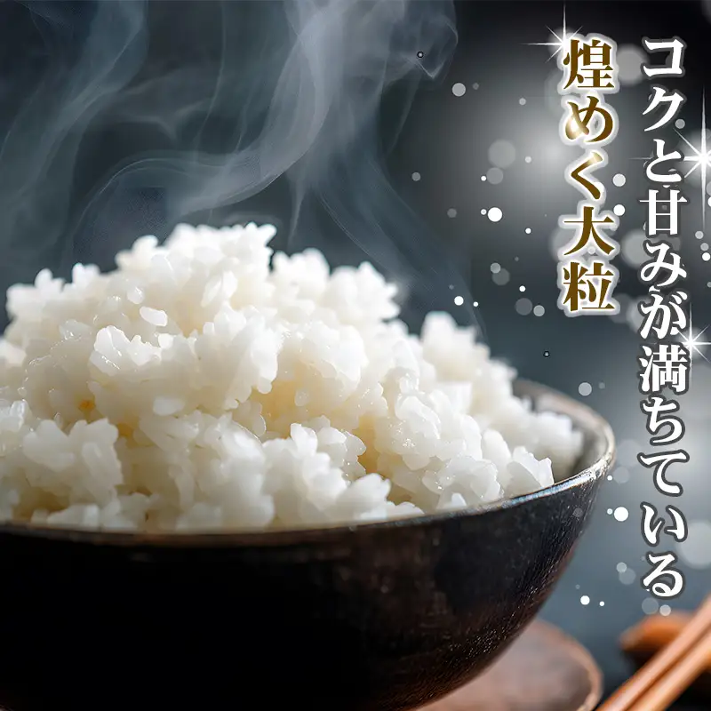 令和7年産 新之助 玄米 30kg （精米サービス可能／小分け不可）【新潟県産 農家直送 新之助 2025年産 プロが認めた美味しいお米 百姓や伝六 美味しい 農家自慢 お米 白米 おにぎり お弁当 新潟米】