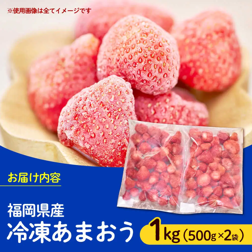 いちご 【4月以降発送】 福岡産 1kg いちご [ABET001] あまおう 果物