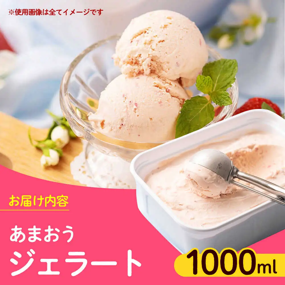 いちご 【4月以降発送】 福岡産 1000ml [ABET006] あまおう 果物