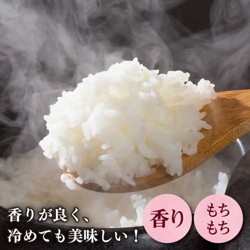 【令和7年産】果物屋さんが選んだ米 夢つくし 5kg 米 白米 お米 ブランド米[ABET008]