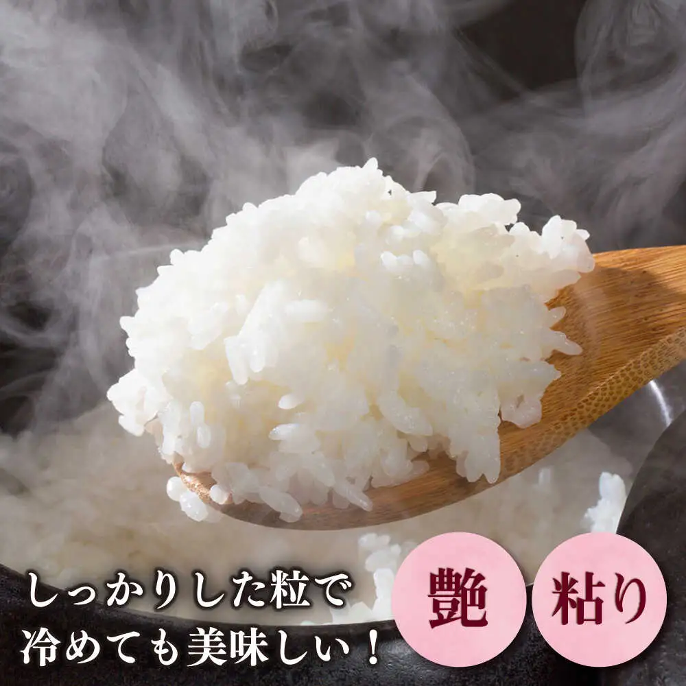 【令和7年産】果物屋さんが選んだ米 元気つくし 10kg 米 白米 お米 ブランド米[ABET011]