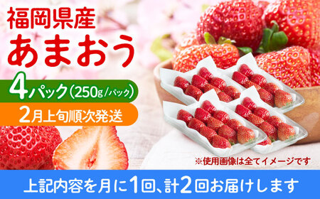 いちご 【全2回定期便】 福岡産 4パック [ABET026] いちご