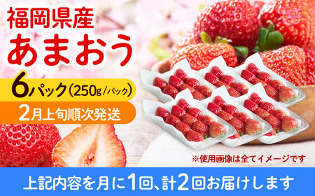 いちご 【全2回定期便】 福岡産 6パック [ABET027] いちご