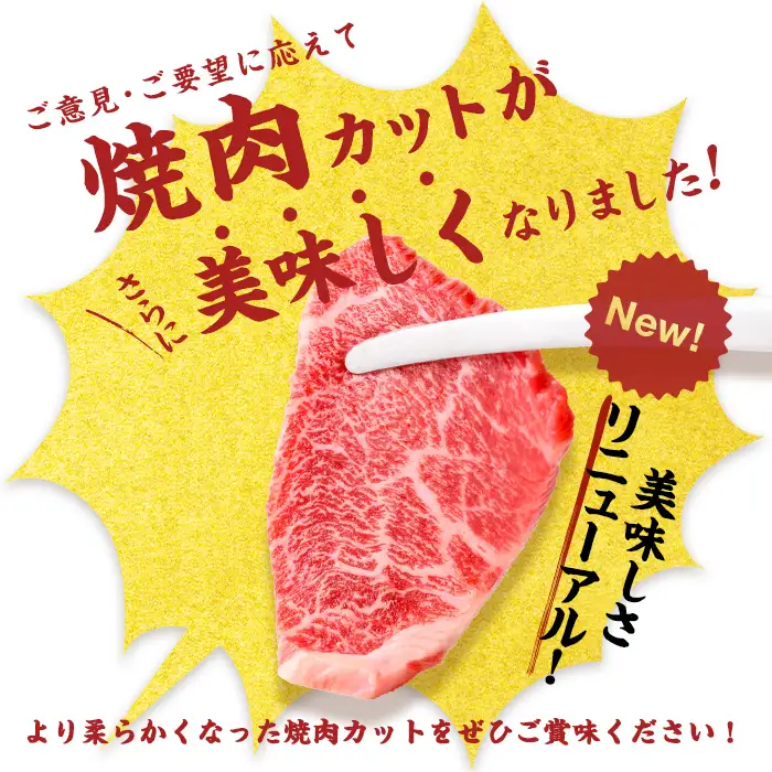 鹿児島県産黒毛和牛赤身ウデ焼肉 (計2kg・200g×10P)  黒毛和牛 国産 肉 牛肉 赤身 ウデ肉 鹿児島 小分け 焼き肉 炒め物 冷凍 b8-046