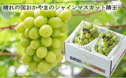 ご家庭用 シャインマスカット 晴王 約400g×2房 計約800g 【2026年8月下旬～11月下旬迄発送】 岡山 種無し 種なし マスカット 果物 くだもの フルーツ ぶどう ブドウ 葡萄 冷蔵