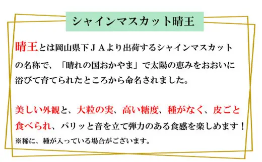 ご家庭用 シャインマスカット 晴王 約400g×1房 【2026年8月下旬～11月下旬迄発送】 岡山 種無し 種なし マスカット 果物 くだもの フルーツ ぶどう ブドウ 葡萄 国産 冷蔵