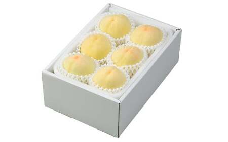 岡山 白桃 ロイヤル 3玉×約200g 計約600g 岡山県産 【2026年7月上旬～8月下旬迄発送予定】 フルーツ 果物 くだもの モモ 桃 もも 冷蔵 国産