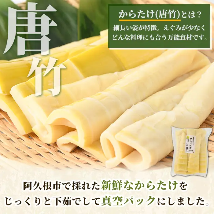 真空パックたけのこ(約1.5kg・500g×3P) 国産 野菜 たけのこ タケノコ 淡竹 ハチク はちく 唐竹 カラタケ からたけ 筍 旬 煮物 天ぷら つくだ煮【あくね旬の店いきいき館】akn015-22
