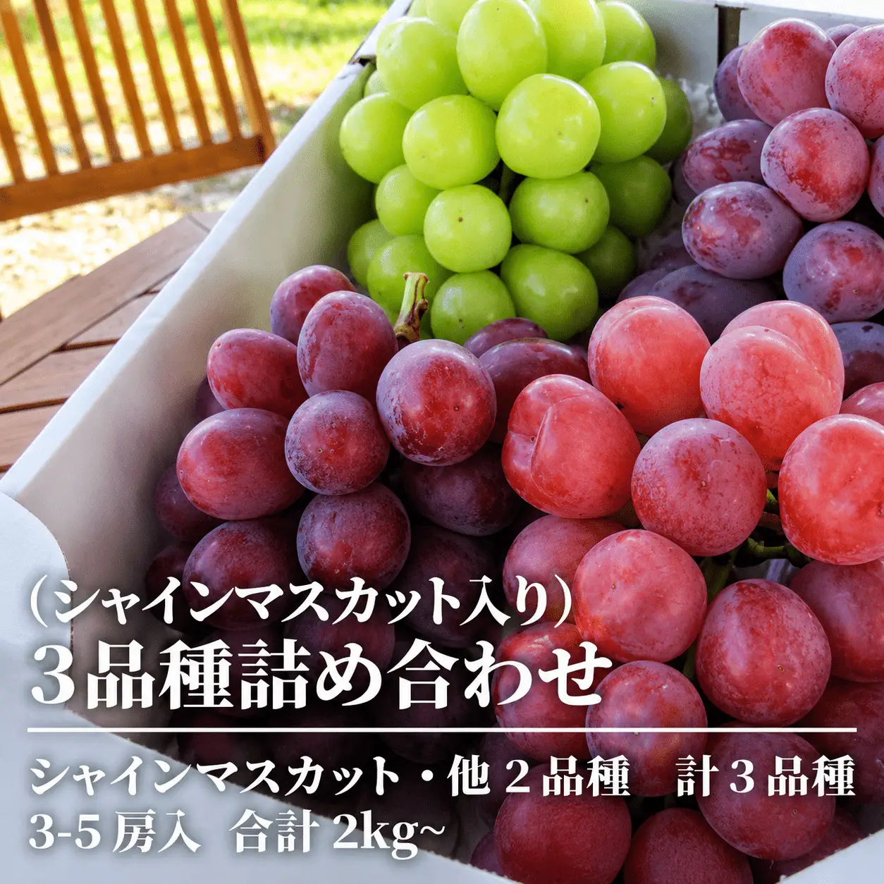 【2026年先行予約】旬のぶどう３品種詰め合わせ(シャインマスカット入り) 3~5房/計2.0kg~ (岡山県産) 【KF-B067-02】