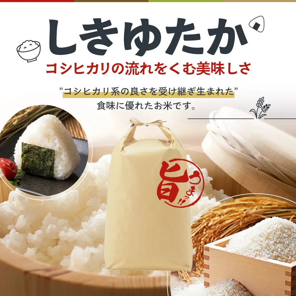 【令和8年産 先行受付】しきゆたか 白米 10kg