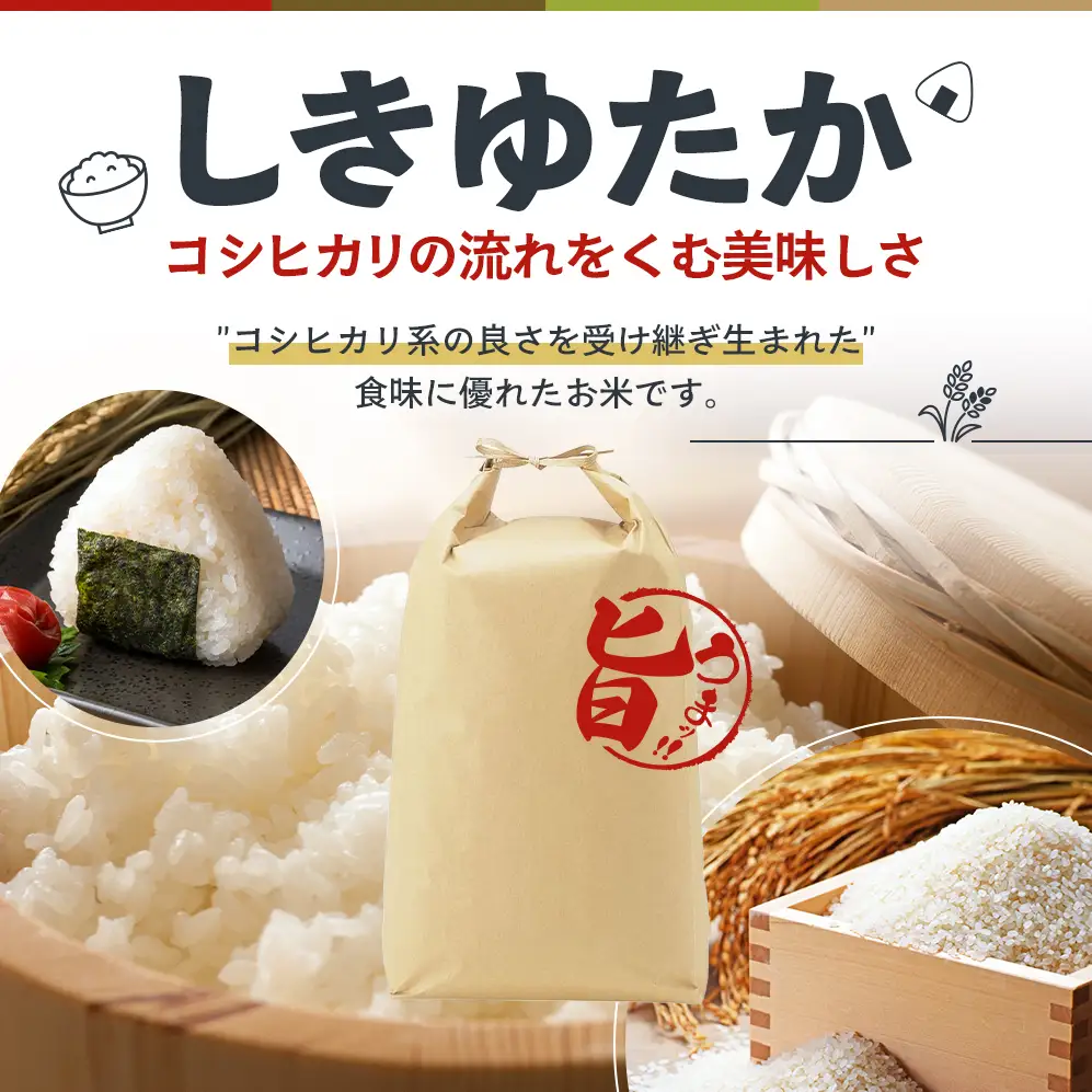 【令和8年産 先行受付】しきゆたか 白米 10kg《2026年12月発送》