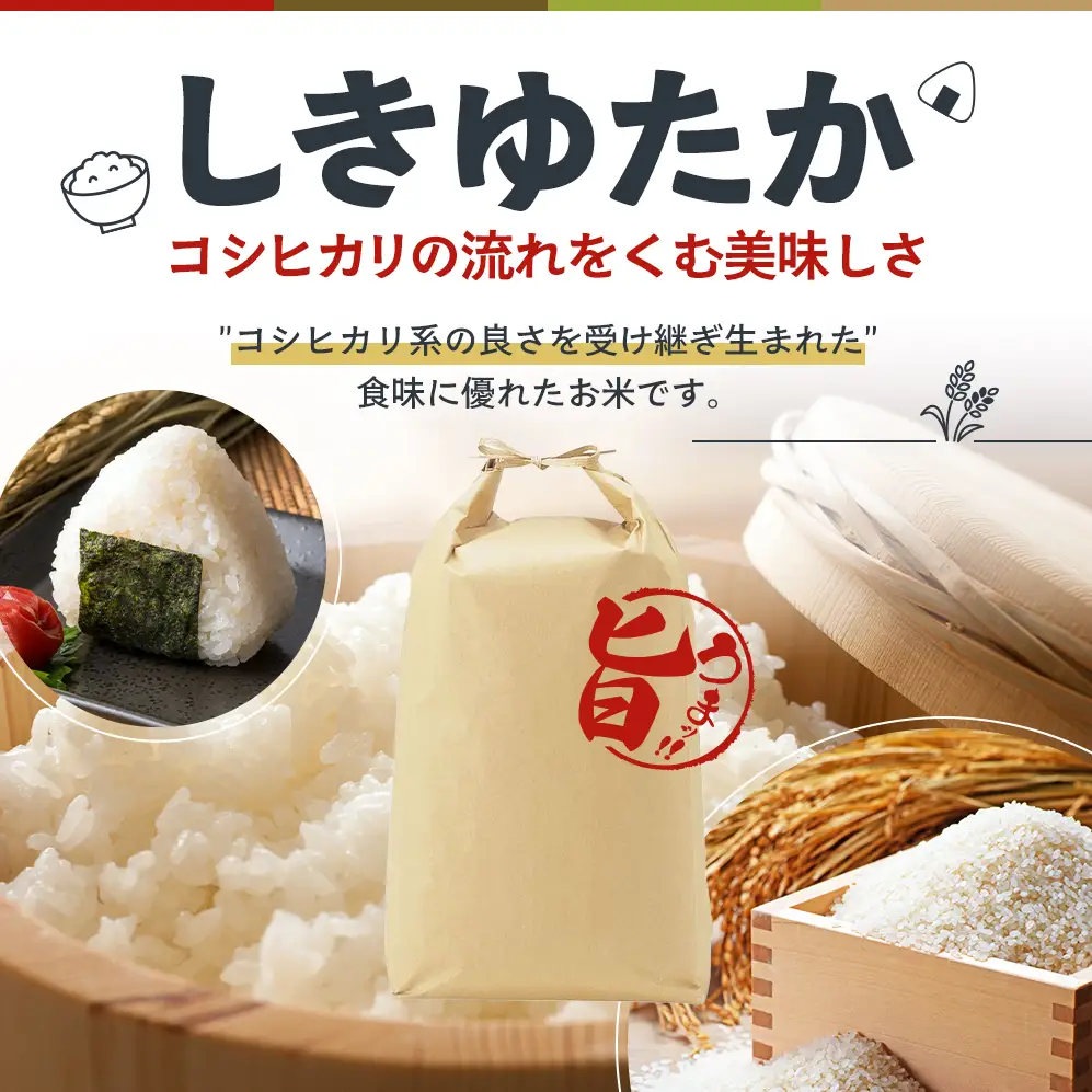【令和8年産 先行受付】しきゆたか 白米 10kg《2027年3月発送》