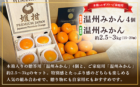 ＜温州みかんセット（4個入り木箱＋ご家庭用約2.5～3kg）＞ 果物 フルーツ 蜜柑 みかん ミカン 柑橘 温州みかん 愛媛県産 贈答用 家庭用 ギフト 特産品 媛柑PremiumJapan 愛媛県 西予市【常温】『2025年12月～2026年1月迄に順次出荷予定』 AHP0004