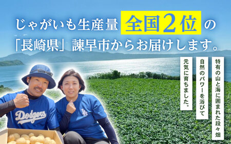 じゃがいも アイマサリ 5kg (S?2Lサイズ/約30?40個) / じゃがいも ジャガイモ ポテト 九州 あいまさり アイマサリ 野菜 やさい / 諫早市 / スマイルファーム　[AHFG005]