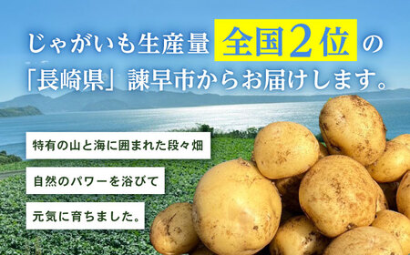 秋の実り詰合せ（アイマサリ・ニンジン）10kg / じゃがいも ジャガイモ ポテト 九州 あいまさり アイマサリ にんじん ニンジン 人参 野菜 やさい / 諫早市 / スマイルファーム　[AHFG010]