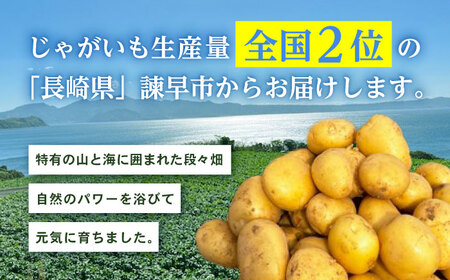 春ジャガ味くらべセット（アイユタカ・メークイン）/ じゃがいも ジャガイモ ポテト 九州 あいゆたか アイユタカ メークイン メイクイーン 野菜 やさい / 諫早市 / スマイルファーム　[AHFG011]