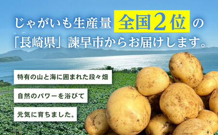 春ジャガ味くらべセット（アイマサリ・メークイン）/ じゃがいも ジャガイモ ポテト 九州 あいまさり アイマサリ メークイン メイクイーン 野菜 やさい / 諫早市 / スマイルファーム[AHFG012]