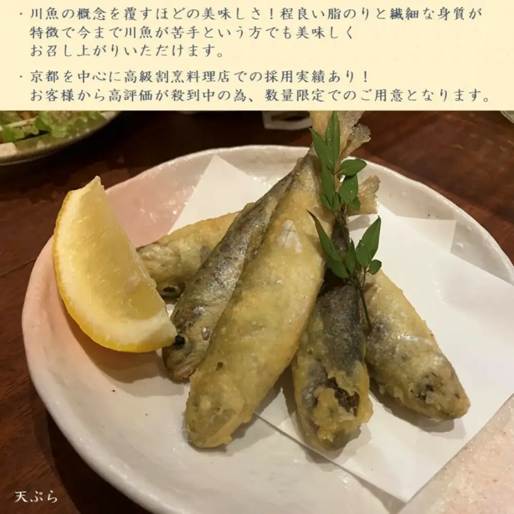 甲賀びわます “ささゆり”　 天ぷらサイズ 5尾入り×4パック